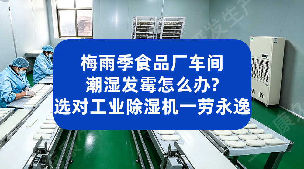 杭州某食品厂引入除湿 + 臭氧方案，成品合格率大幅提升