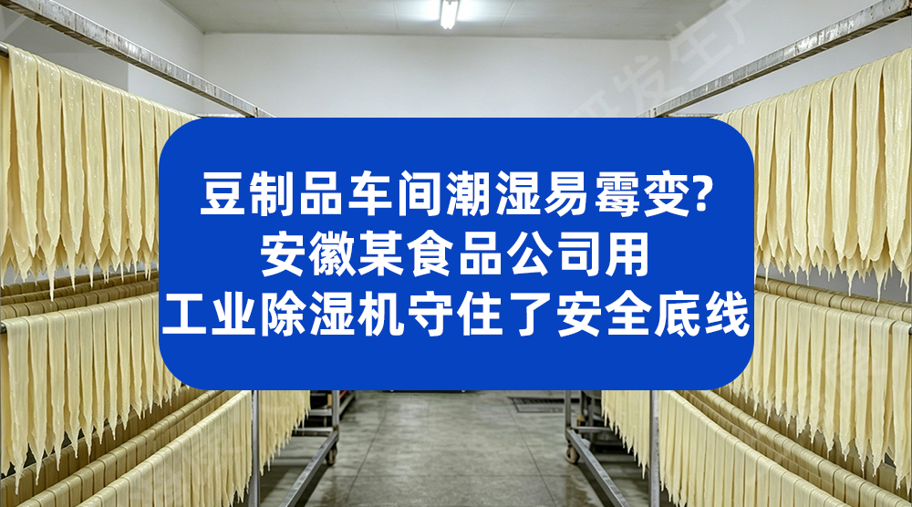 臭氧消毒无死角，助力杭州某食品企业稳定抽检合格率