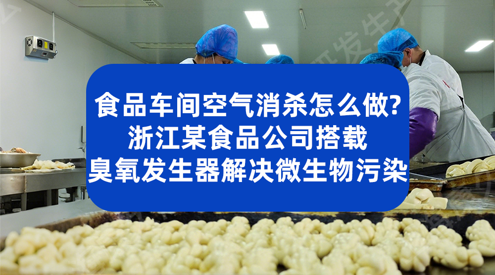 食品车间空气消杀怎么做？浙江某食品公司搭载臭氧发生器解决微生物污染