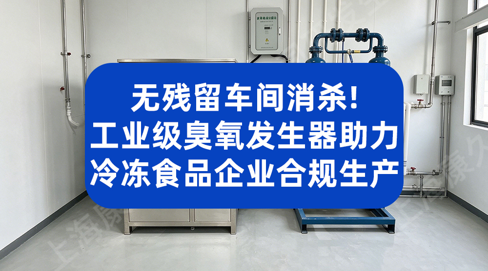 无残留车间消杀！工业级臭氧发生器助力冷冻食品企业合规生产