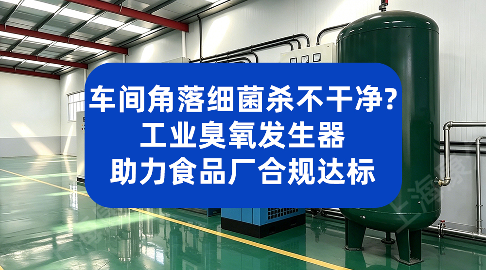 无残留车间消杀！工业级臭氧发生器助力冷冻食品企业合规生产