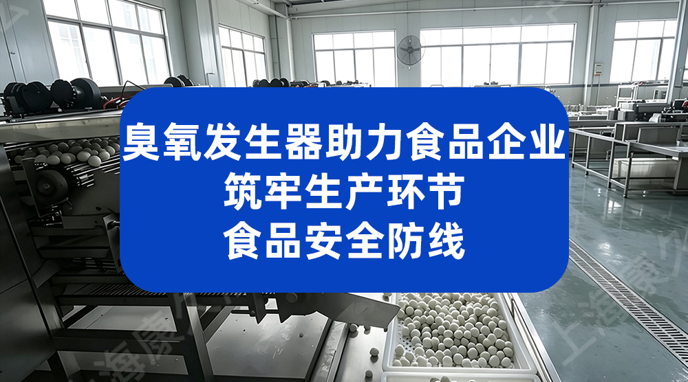 臭氧发生器助力食品企业 筑牢生产环节食品安全防线