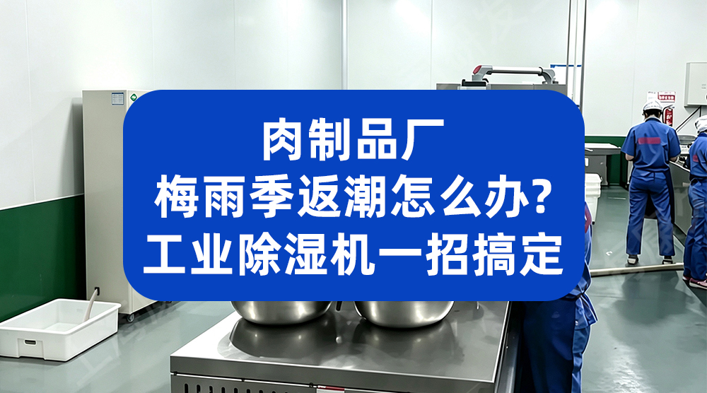 肉制品厂梅雨季返潮怎么办？工业除湿机一招搞定