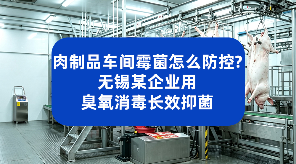 肉制品车间霉菌怎么防控？无锡某企业用臭氧消毒长效抑菌