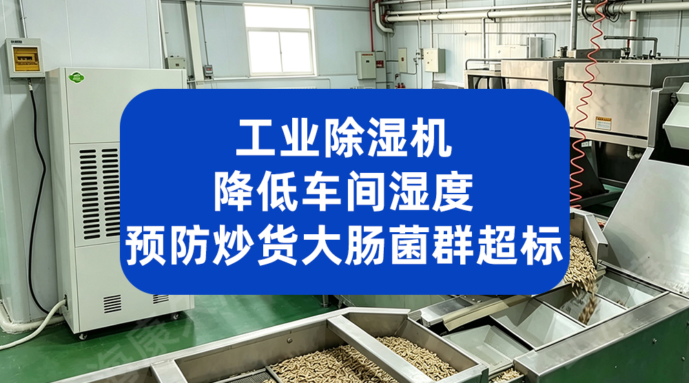豆制品车间潮湿易霉变？安徽某食品公司用工业除湿机守住了安全底线