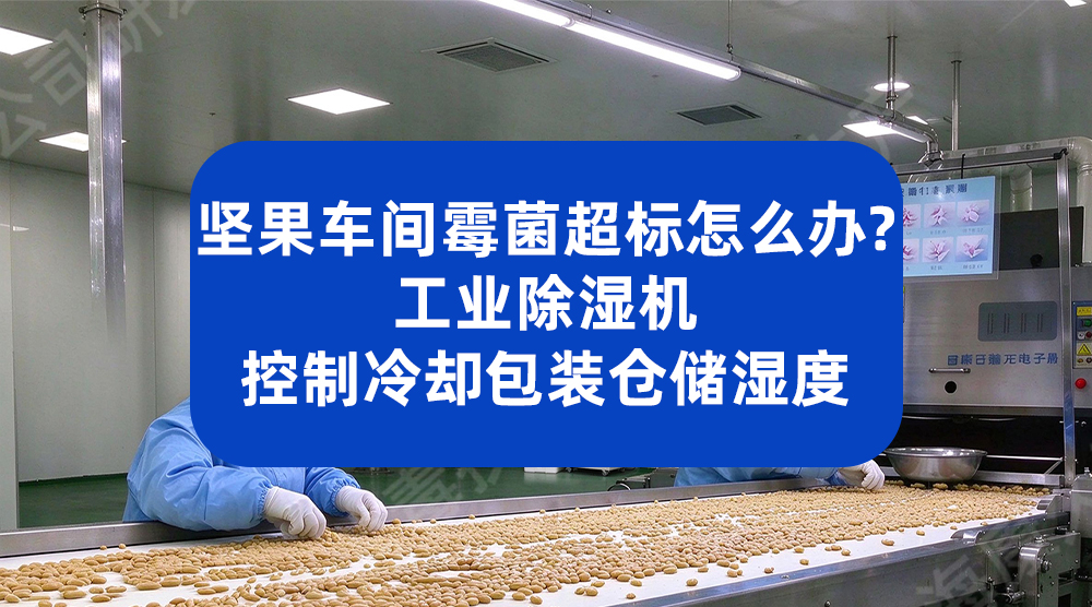 豆制品车间潮湿易霉变？安徽某食品公司用工业除湿机守住了安全底线