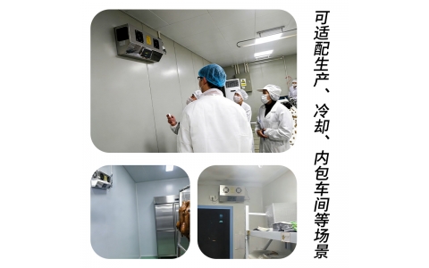 壁挂式臭氧发生器