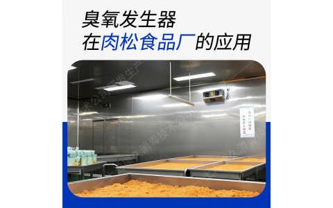 壁挂式臭氧发生器