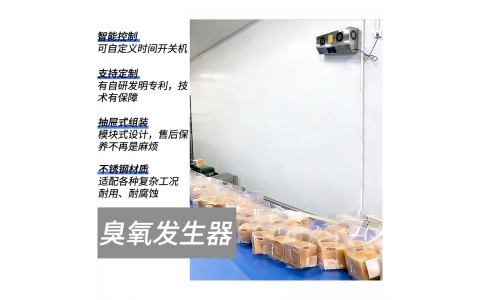 壁挂式臭氧发生器