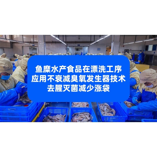 鱼糜水产食品在漂洗工序应用不衰减臭氧发生器技术去腥灭菌减少涨袋