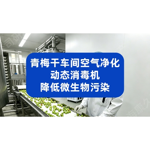 ​青梅干加工车间空气净化：动态消毒机降低微生物污染