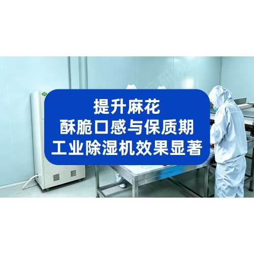 提升麻花酥脆口感与保质期，工业除湿机效果显著