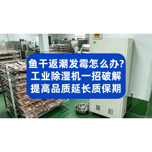 鱼干返潮发霉怎么办？工业除湿机一招破解，提高品质延长质保期