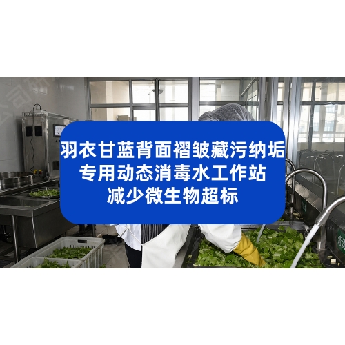 羽衣甘蓝褶皱菜叶农残难处理？动态微纳米气泡消毒解决方案