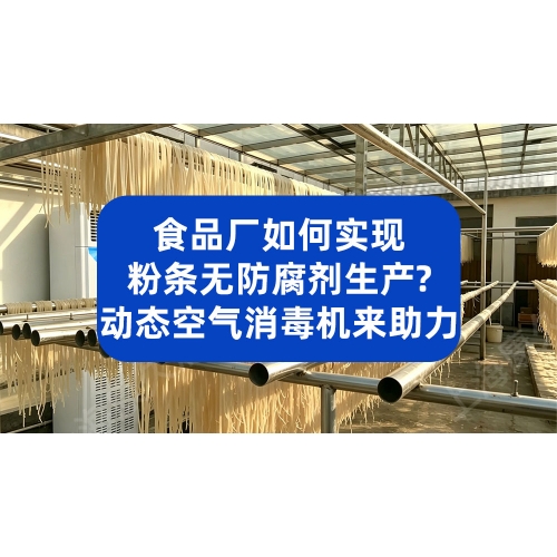 食品厂如何实现粉条无防腐剂生产？动态空气消毒机助力提质延保
