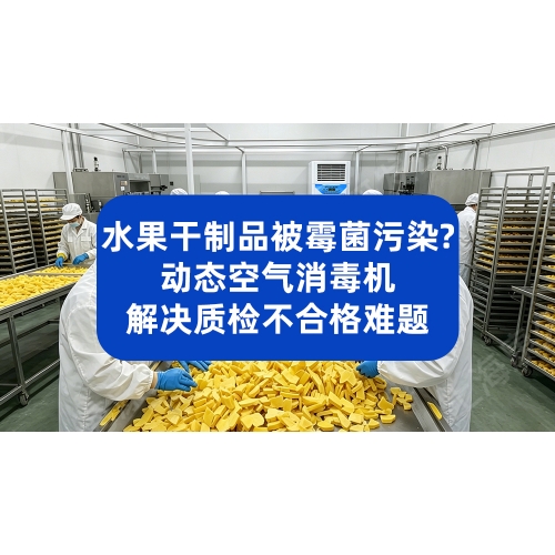 水果干制品如何预防霉菌污染？动态空气消毒机解决质检不合格难题