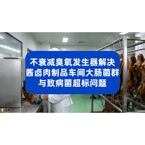 不衰减臭氧发生器 解决酱卤肉制品车间大肠菌群与致病菌超标问题