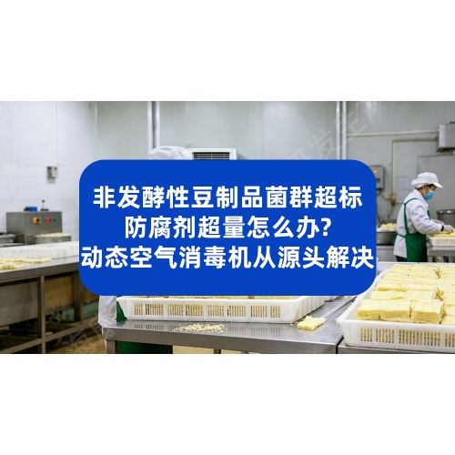 豆制品菌群超标、防腐剂超量怎么办？动态空气消毒机从源头解决