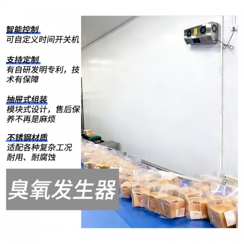 壁挂式臭氧发生器
