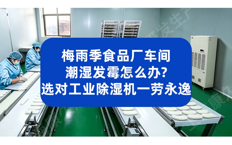 梅雨季食品车间潮湿发霉？选对工业除湿机一劳永逸