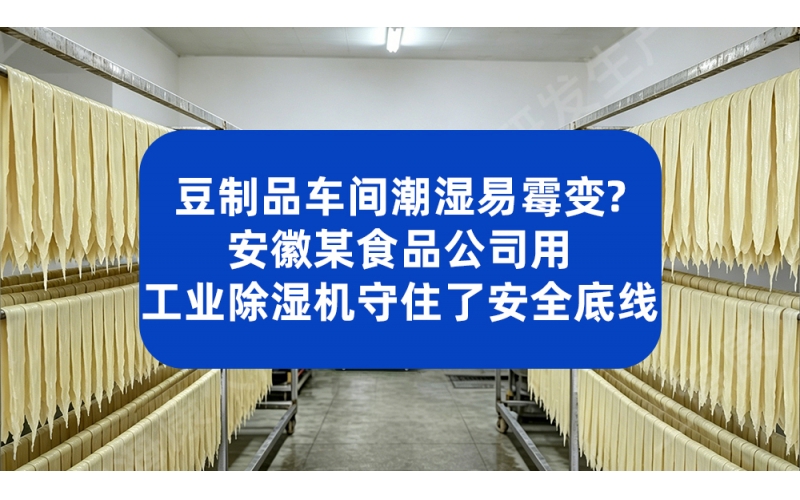 豆制品车间潮湿易霉变？安徽某食品公司用工业除湿机守住了安全底线
