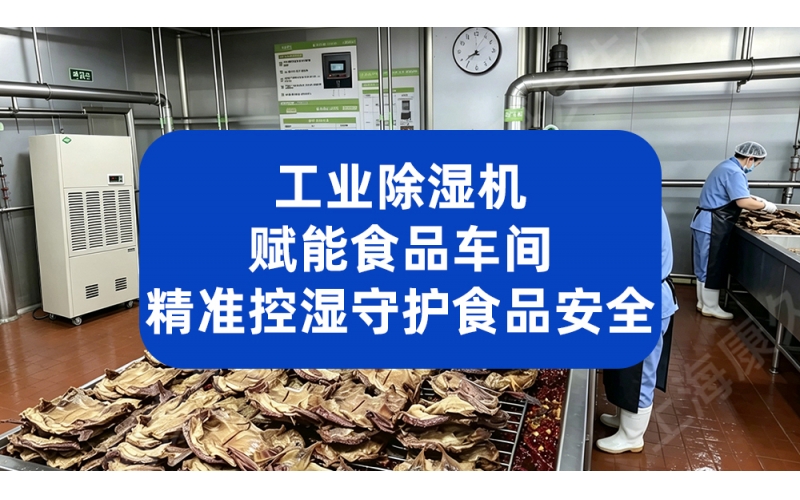 工业除湿机赋能食品车间 精准控湿守护食品安全