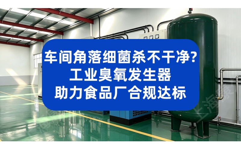 车间角落细菌杀不干净？工业臭氧发生器助力食品厂合规达标