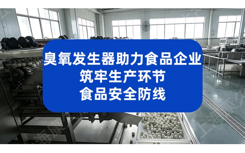 臭氧发生器助力食品企业 筑牢生产环节食品安全防线