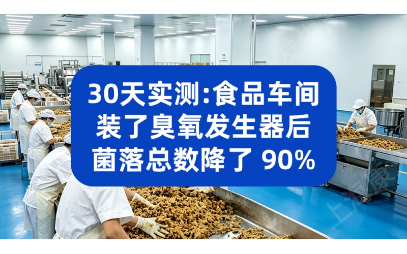 30 天实测：食品车间装了臭氧发生器后，菌落总数降了 90%