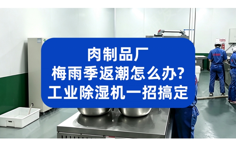 肉制品厂梅雨季返潮怎么办？工业除湿机一招搞定