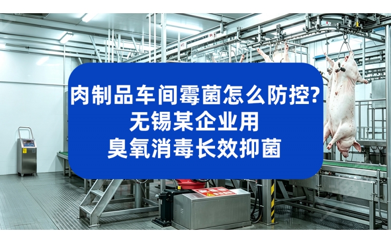 肉制品车间霉菌怎么防控？无锡某企业用臭氧消毒长效抑菌