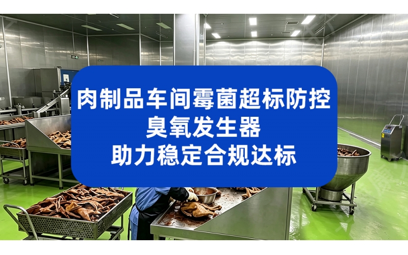 肉制品车间霉菌超标防控 臭氧发生器助力稳定合规达标