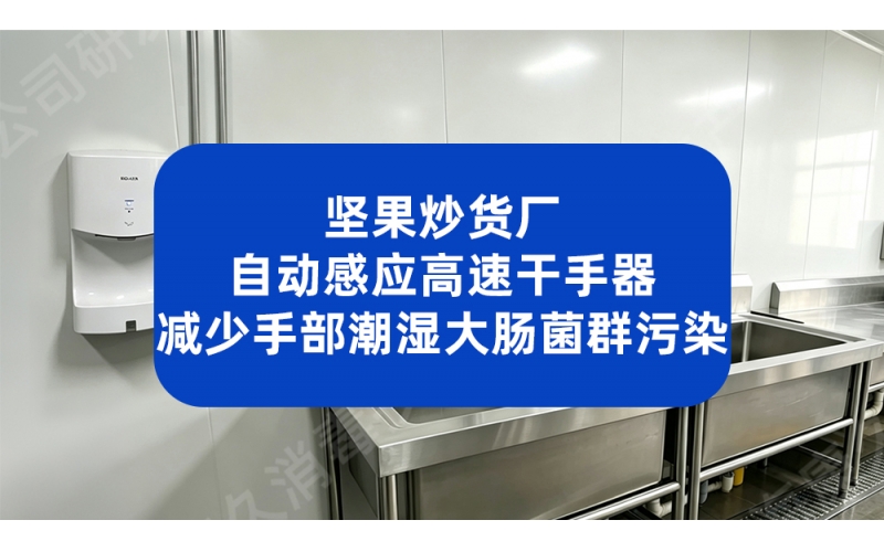 坚果炒货厂自动感应高速干手器 减少手部潮湿大肠菌群污染