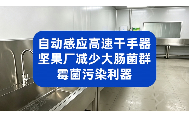 自动感应高速干手器 坚果厂减少大肠菌群霉菌污染利器