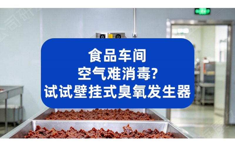食品车间空气难消毒？试试壁挂式臭氧发生器
